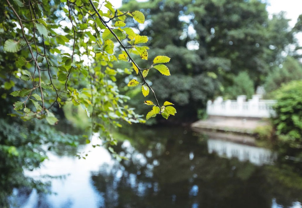 В 2026 году в селе Остроухово будет благоустроена общественная территория