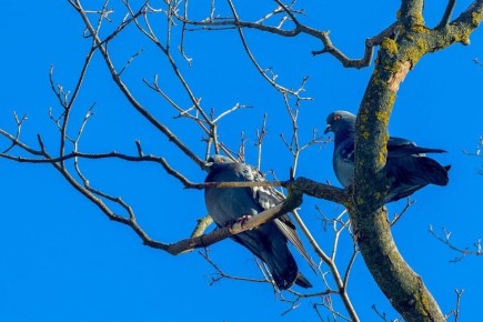 ������ ����, ��������!. ������� ����� ��������