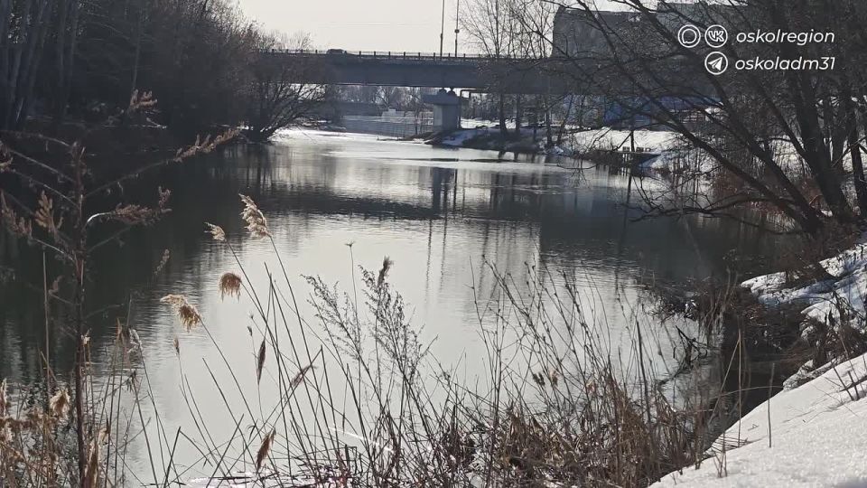 ������ ����, ������ �����!