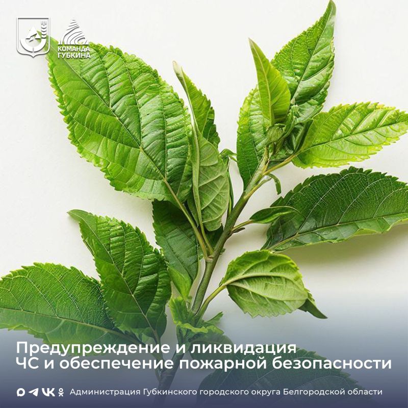 �������������� � ���������� ������������ ��������