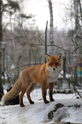 ������ 10 �����. ������� ��������� ������� ��������� ������