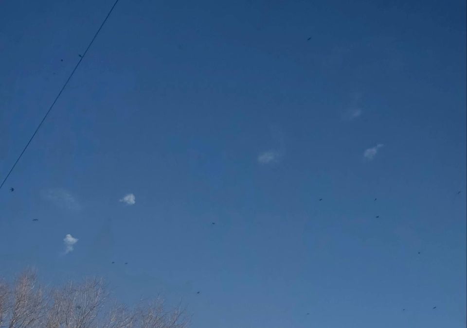 Сбиты ещё несколько вражеских ракет