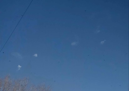 ����� ��� ��������� ��������� �����