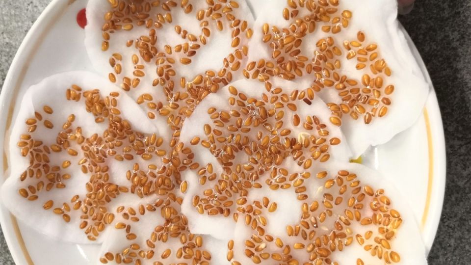 ������� ��������� ������: ������, ������� ������ ���������� ����� ��������