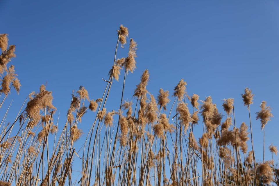 � ������ �����, ���������!