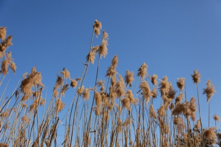 � ������ �����, ���������!