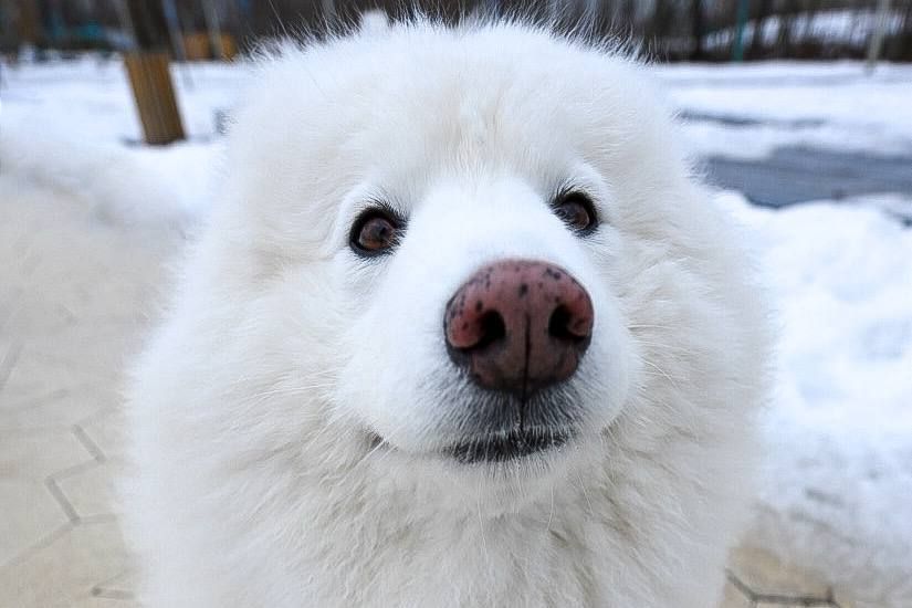 ������� ������ �� 12 �����