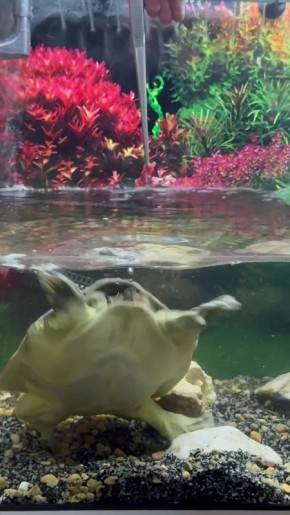 ��������� ��������� �������� � ������������ �������� � ���������� ��������� ��������