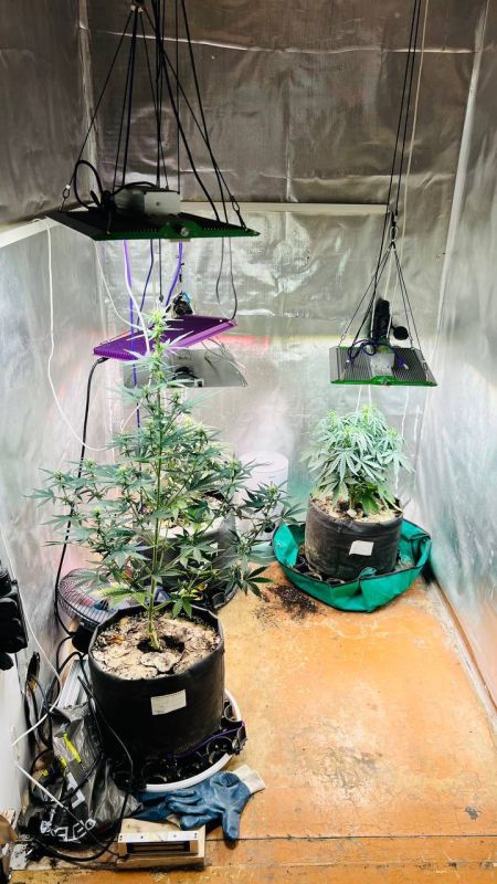 � ������ ������ ����������� �������� ������������ � ���� ����������