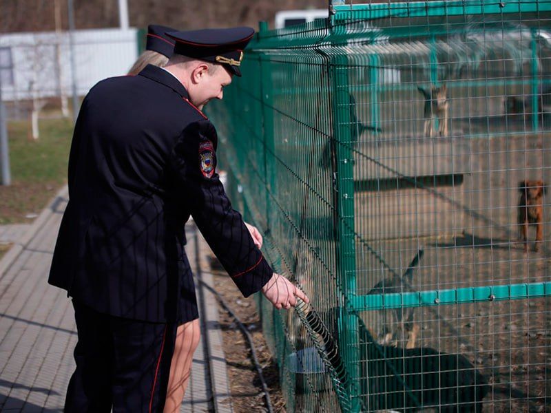 В Белгородской области полицейские проведут акцию «День добрых дел»