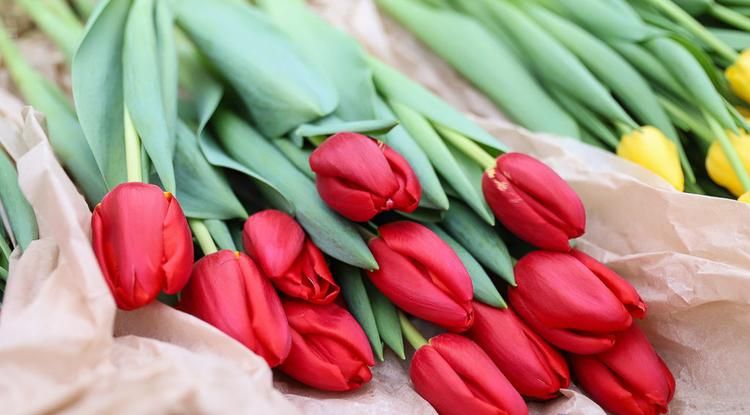 �������� ����� �������� �������� ������ ���� �����������