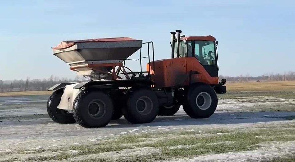 В Ракитянском муниципальном округе аграрии приступили к подкормке озимых