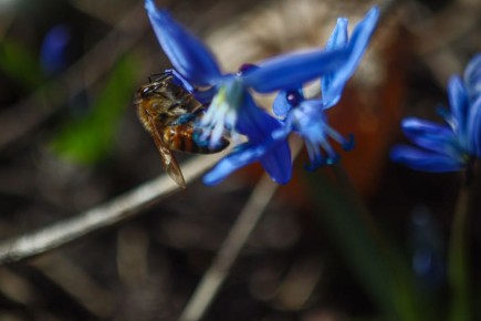 Погода 14 марта. Сегодня синоптики обещают переменную облачность, без осадков