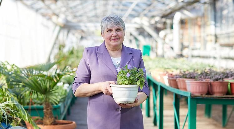 ����� ������� ���������� �������� ��� ���������� ���������