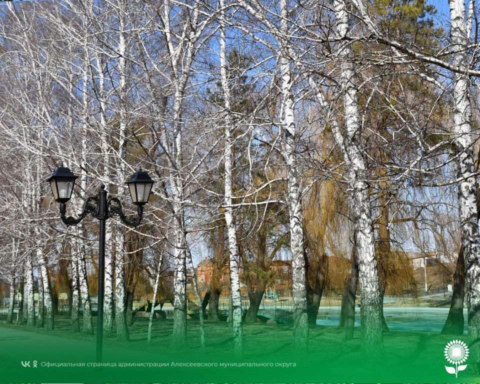 15 февраля. Температура воздуха 10°C, ясно, без осадков