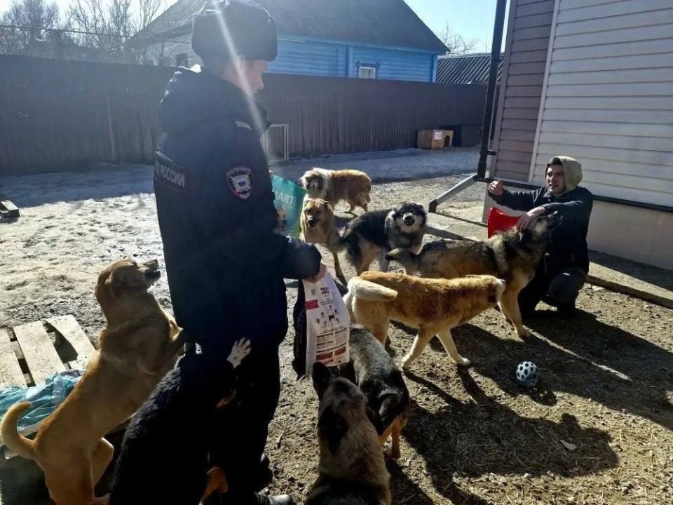 � ����������� ������ ����������� � ������������� � ������ ����� ����� ������ ��� ��������� �������� ������ ��� ��������� ��������