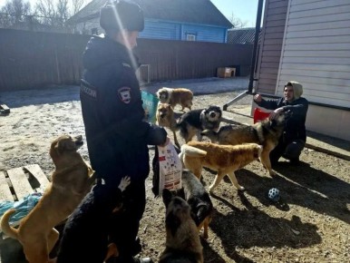 В Корочанском округе полицейские и общественники в рамках акции «День добрых дел» навестили питомцев приюта для бездомных животных