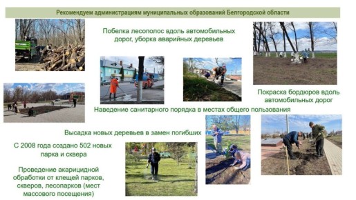 Вячеслав Гладков: «К 1 мая всё должно звенеть от чистоты»