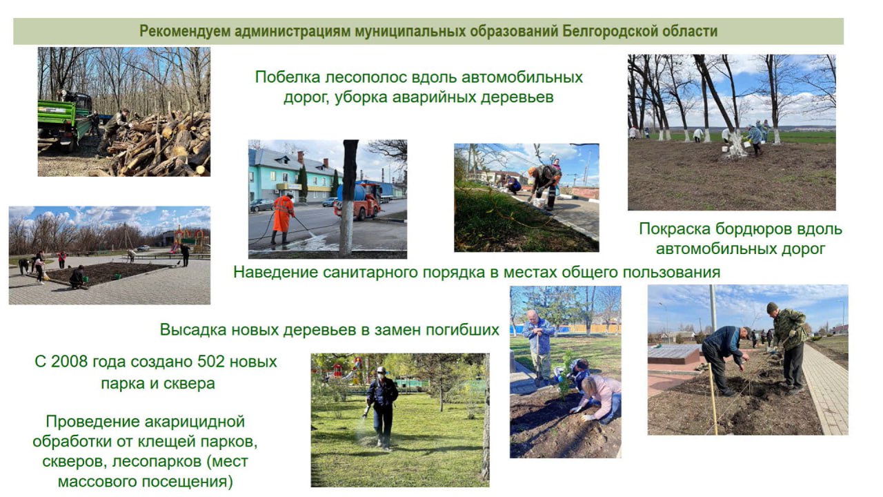 Вячеслав Гладков: «К 1 мая всё должно звенеть от чистоты»