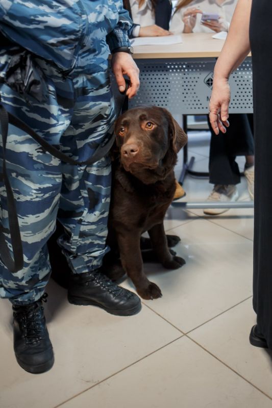 Старооскольские полицейские презентовали свою профессию в День открытых дверей в вузе