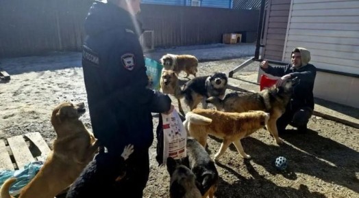 Корочанские полицейские помогли приюту для бездомных животных