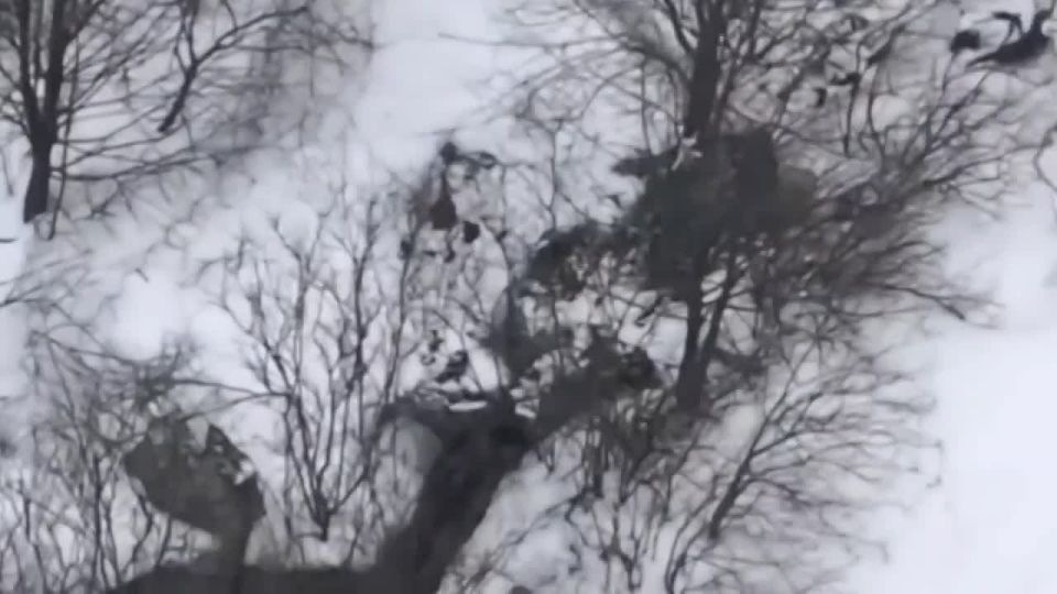 ����� ������� ���������� �������� ������� � ������ ���������� �������������� ���