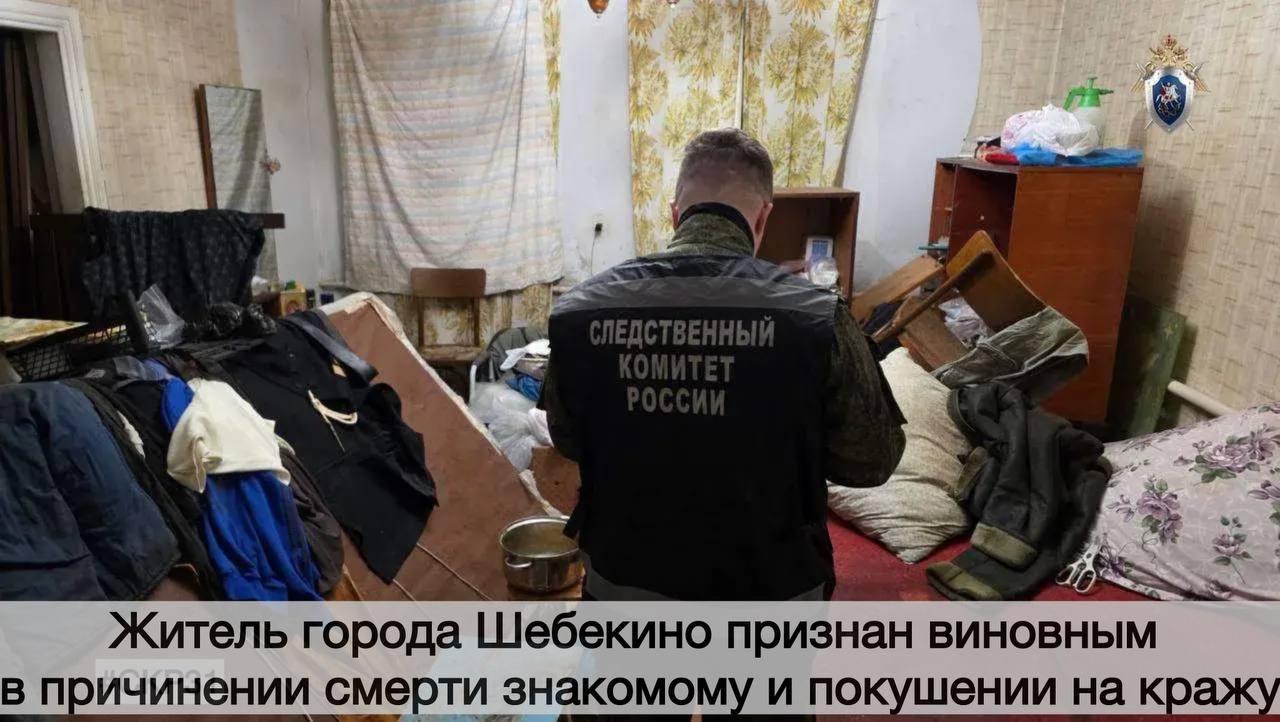 Житель города Шебекино признан виновным в причинении смерти знакомому и покушении на кражу