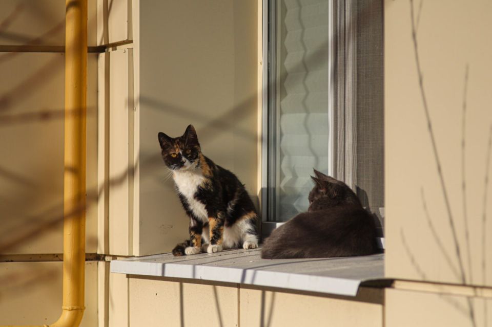 ������ 16 �����. ������� ��������� ������� �������� ������