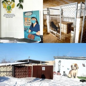 � ������������ ������ �������� ��������� � ������� � ������� �������