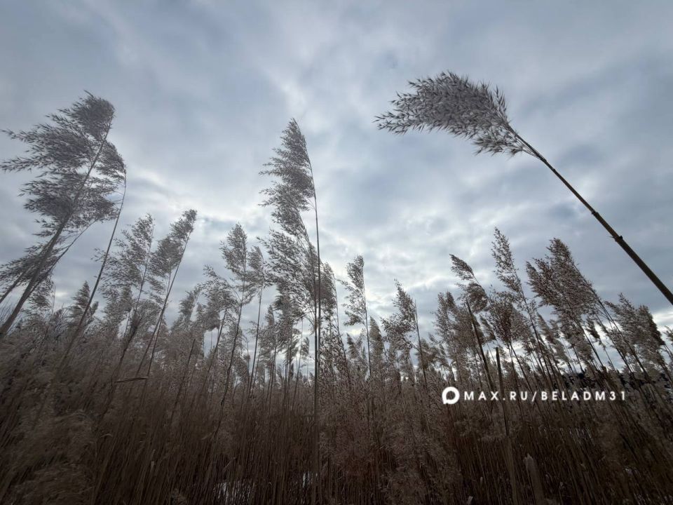 Доброе утро, Белгород!. Похолодало