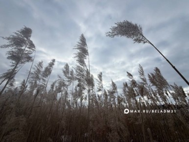 ������ ����, ��������!. ����������