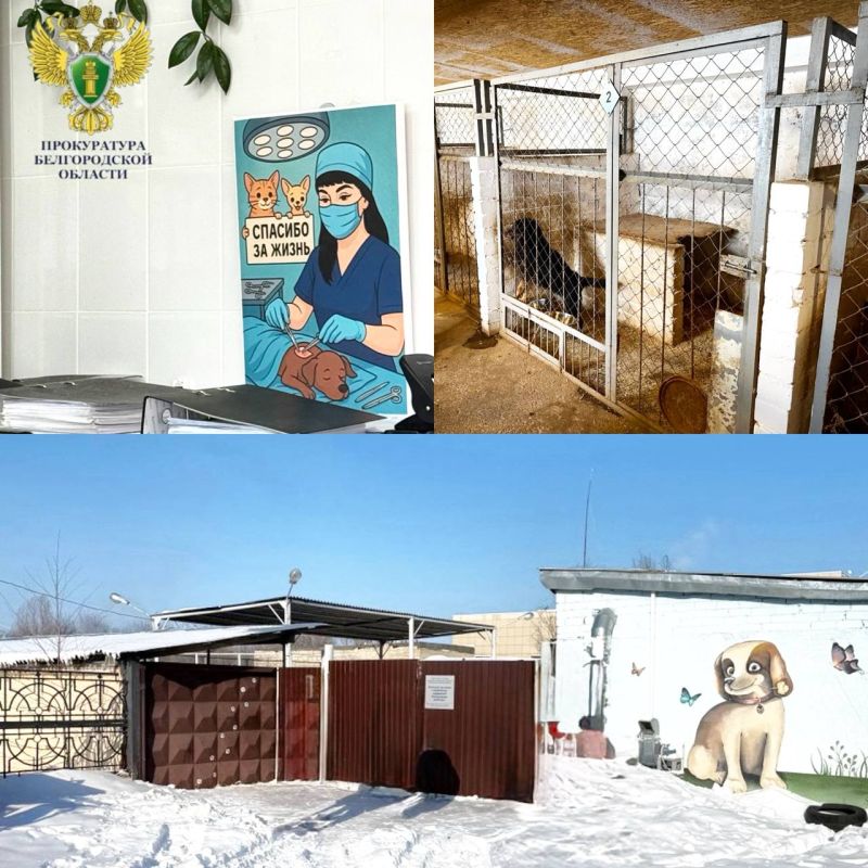 ����������� ������� ������������� � ������������ ������ ��� ��������� ��������