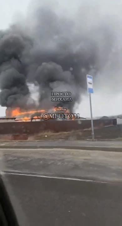 � ��������-81 ������� �����