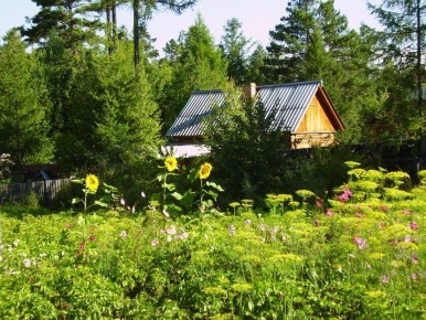 Деревни России: Умирающее наследие или новая жизнь?