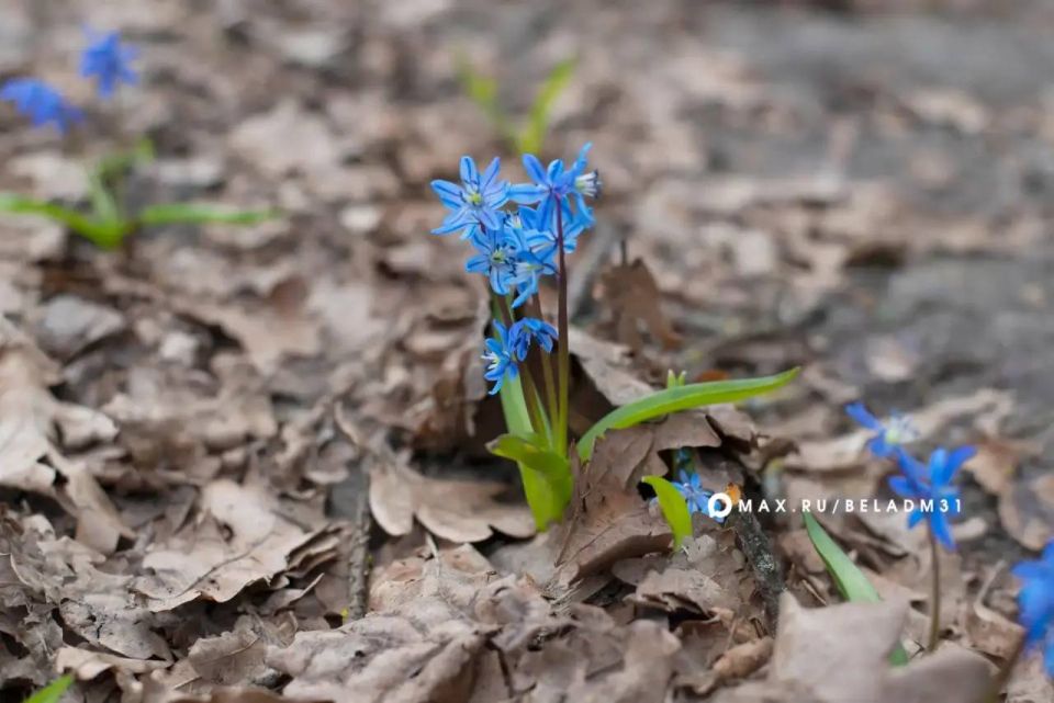 Погода 18 марта. Сегодня синоптики обещают облачную погоду и дождь со снегом