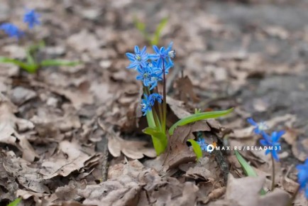 ������ 18 �����. ������� ��������� ������� �������� ������ � ����� �� ������