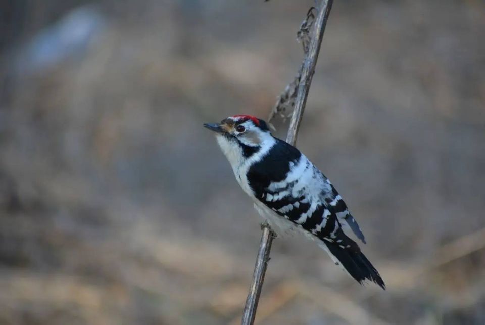 Доброе утро, Белгород!. Сегодня 18 марта за окном пасмурно, в течение дня возможен небольшой дождь