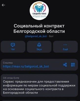 В мессенджере МАХ запустили чат-бот для оформления соцконтрактов