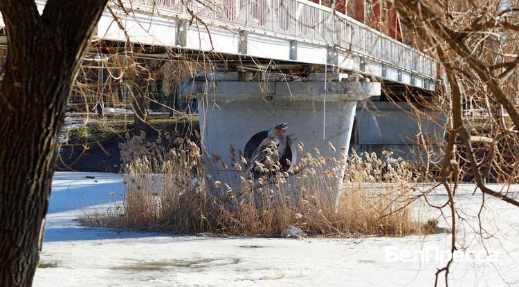 ����������� �������� � ������������ � �������� ������� ����� � �������� ���