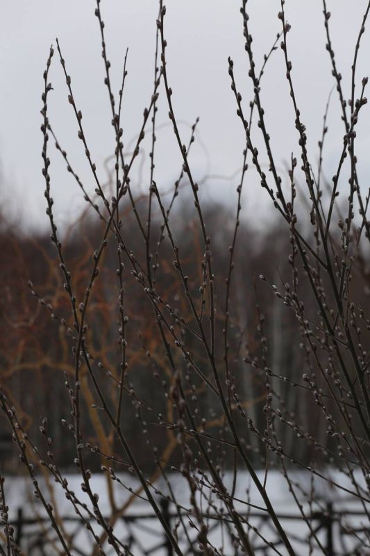 �� ������������ �������! ��� �������� ��������� ��� ���������� ������������� ��������