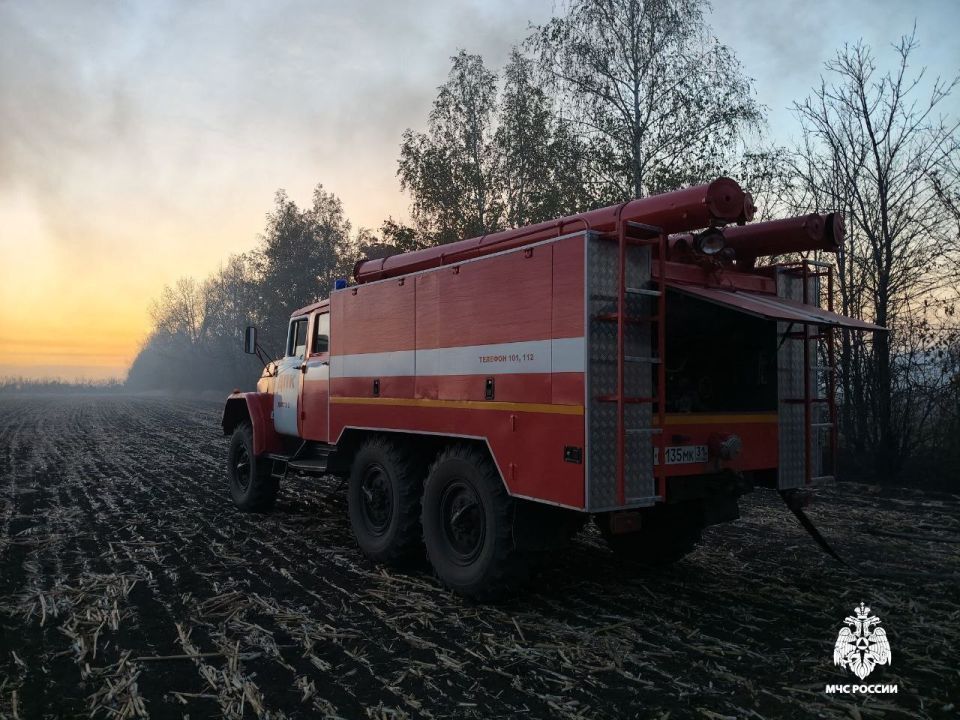 � ������������ ������� �������� ������������� �����