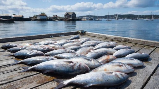 ������� � ����������� � ���������� ���� �������� ������������� � 9,2 ��� ������