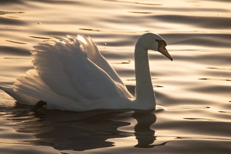 Погода 19 марта. Сегодня синоптики обещают слабый дождь