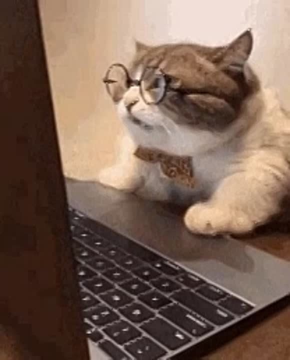 ������ �� �� ������. ������, ����� ������ ������� ��� ���������, �������� ����� � ���� �������: � ��� ��������� ������ ����������� �������