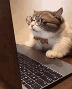 ������ �� �� ������. ������, ����� ������ ������� ��� ���������, �������� ����� � ���� �������: � ��� ��������� ������ ����������� �������