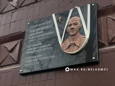 К повреждению барельефа на мемориальной доске погибшего участника СВО Дмитрия Василенко вандалы отношения не имеют