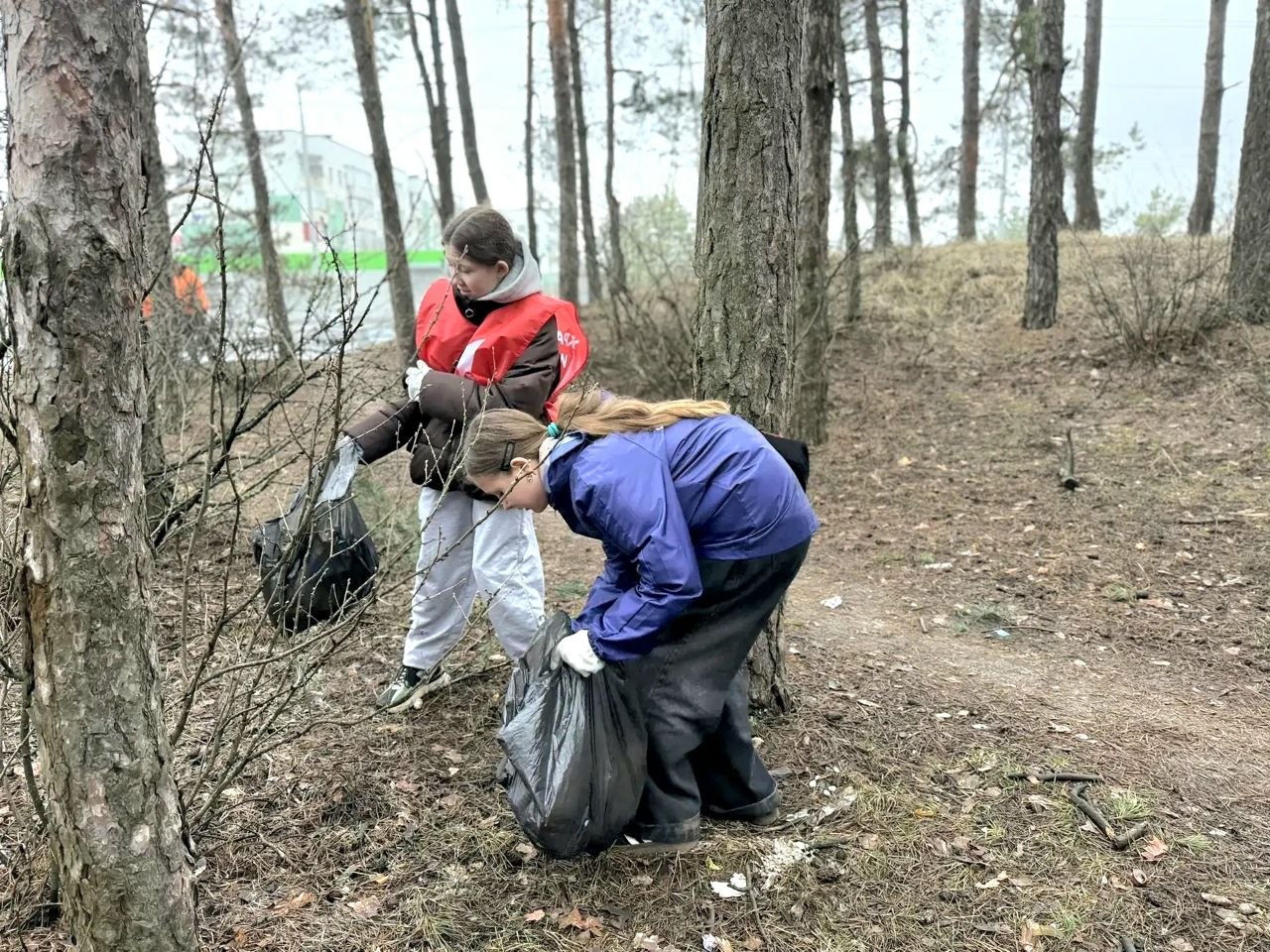 Андрей Миськов: Активисты Добро.Центра и Движения Первых приняли участие в месячнике добровольного служения региону и организовали экологическую акцию Андрей Миськов: Активисты Добро.Центра и Движения Первых приняли участие в месячнике добровольного служения региону и организовали экологическую акцию