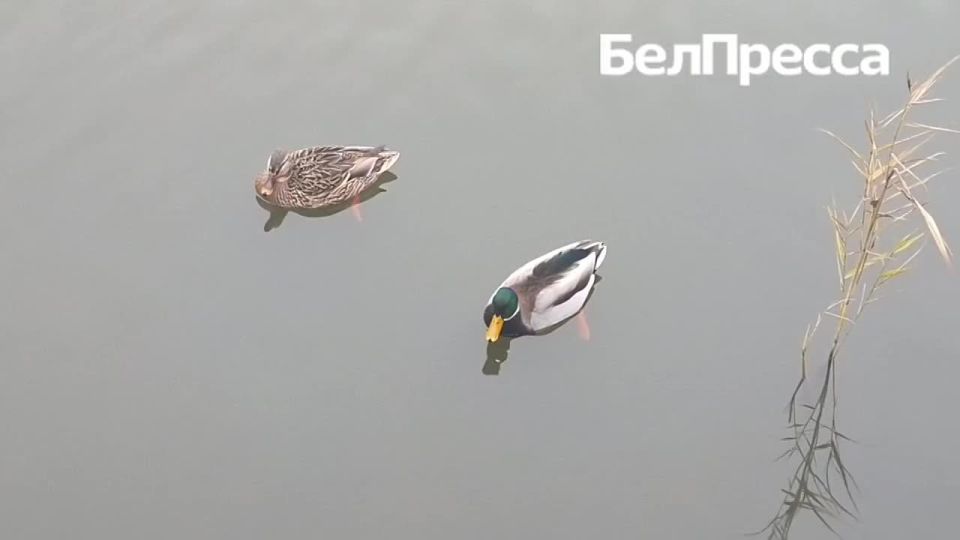 ������� �� ����������!. ������ ���������� ������ ���� ��������� ���������� ��� ������������ �����������