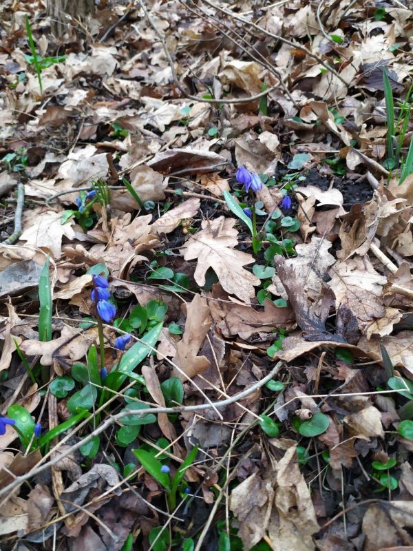 ������ ����, ����������!. ��������� ������������ ��������� �������