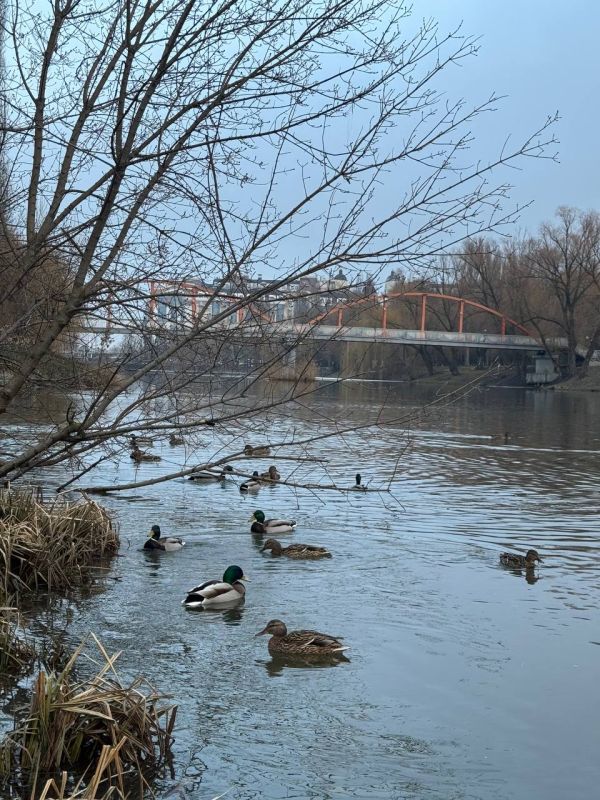 ������ 21 �����. ������� ��������� ������� ����� ������